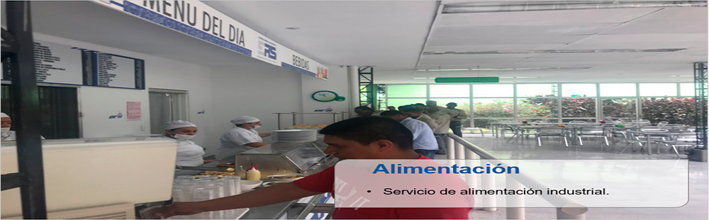 Servicio De Alimentacion