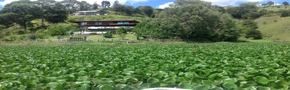 Lago