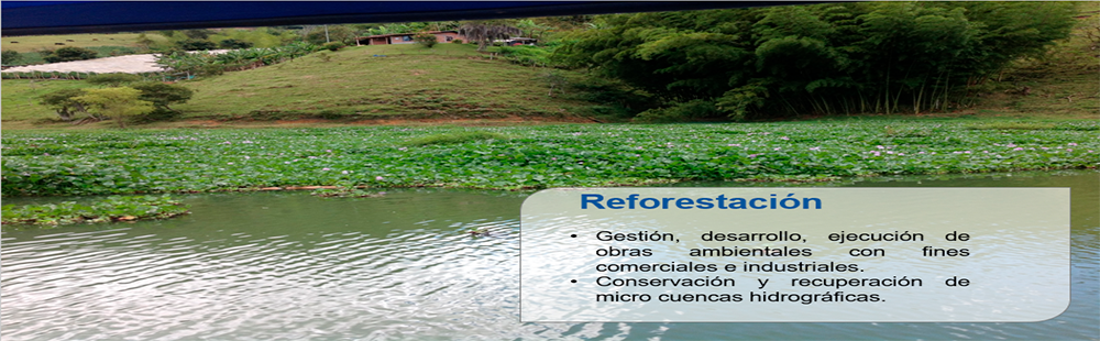 Servicio De Reforestacion